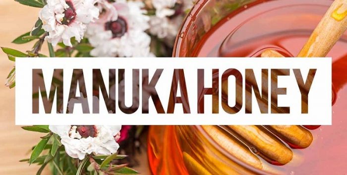 Mật ong Manuka là gì? Tác dụng của mật ong Manuka như thế nào?